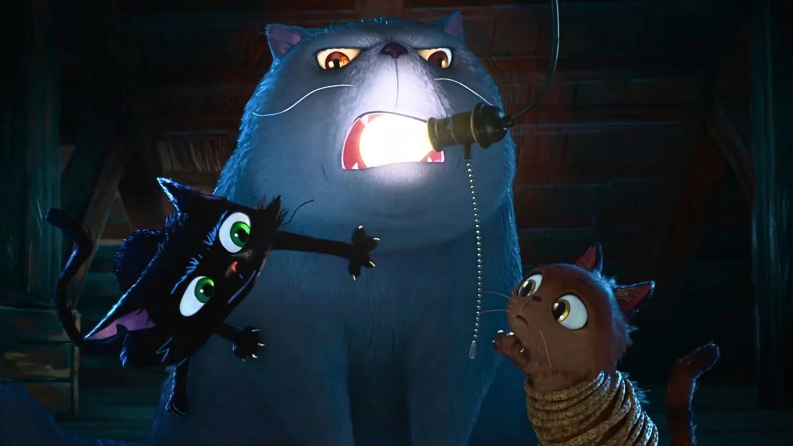 Gatto